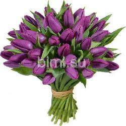 Букет из 49 фиолетовых тюльпанов
