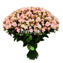 Букет из 39 розовых кустовых роз &quot;Лидия&quot;, 60 см