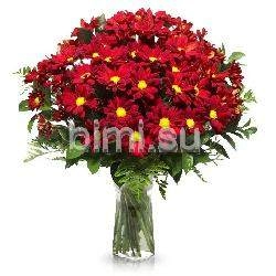 Букет из 15 красных хризантем
