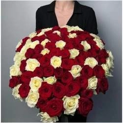 Микс бело-красной розы 50см 81 шт